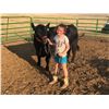 Image 1 : Kinley Bollinger - Steer