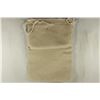 Image 2 : US MINT $25 SEALED BAG OF 1999-P SBA DOLLARS