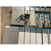 Image 8 : LOT OF ALLEN BRADLEY RACKS AND MODULES