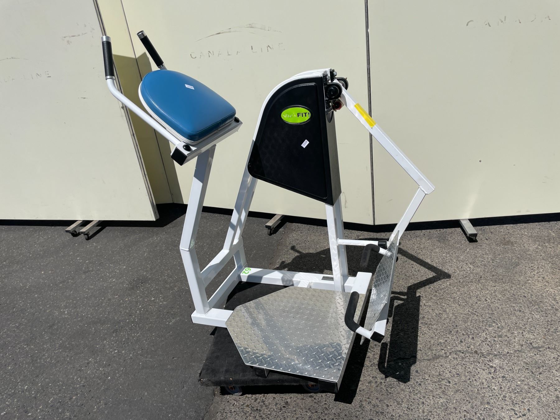 APEX LADIES WHITE COMMERCIAL STANDING LEG EXTENSION MACHINE