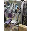 Image 2 : APEX LADIES COMMERCIAL SEATED VERTICAL ROW MACHINE