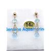 Image 1 : Yellow Gold Genuine Aquamarine Briolette Earrings