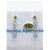 Image 2 : Yellow Gold Genuine Aquamarine Briolette Earrings