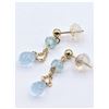 Image 4 : Yellow Gold Genuine Aquamarine Briolette Earrings