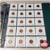 Image 22 : Canada One Cent Collection (2000 - 2012) Binder Lot 260 Coins (See Pics!)