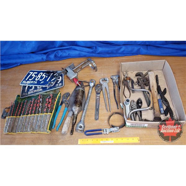 Tray Lot: Vintage Grease Gun, Lic Plate, Oil Filter Wrench, Drill Bits, Bonney Alligator Wrench, etc