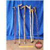 Image 1 : Canes (6): Diamond Willow (5 Custom by Larry Charlebois) & 1 Vintage Walking Stick Cane (comes apart