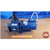 Image 1 : Jacuzzi Electric Water Pump (1hp Voltage 115/230)