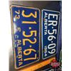 Image 3 : Alberta Lic Plates (7) : 1964 (2 Matching) ; 1973 (3) ; 1969 ; 1971
