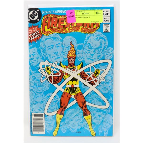 FURY OF FIRESTORM #1