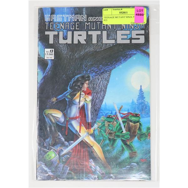 TEENAGE MUTANT NINJA TURTLES #13