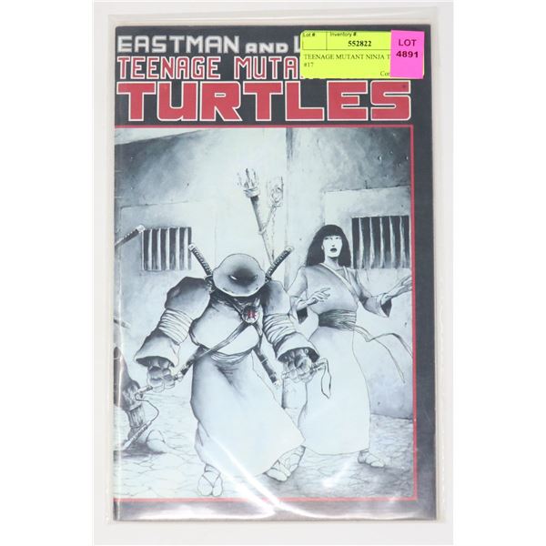 TEENAGE MUTANT NINJA TURTLES #17