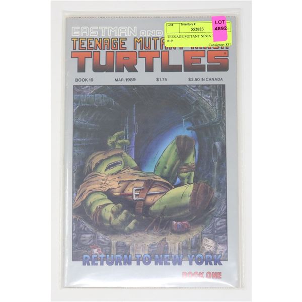TEENAGE MUTANT NINJA TURTLES #19