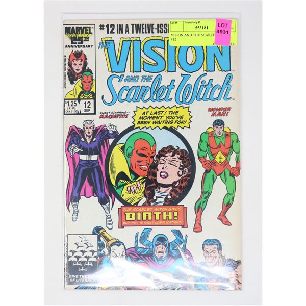 VISION AND THE SCARLET WITCH #12