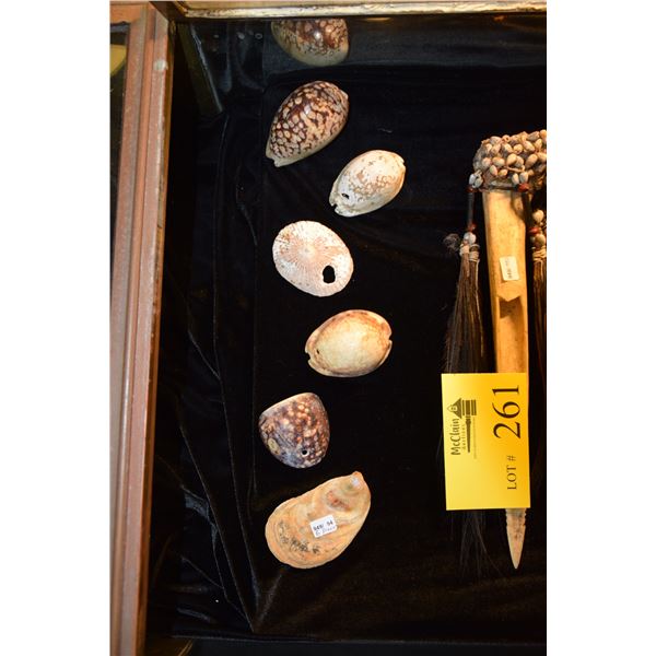 ANCIENT HAWAIIAN SHELLS (REX GLAYISER COLLECTION) 3 COWRIE SHELLS WITH HOLES FOR TAKO LURES, 1 COWRI