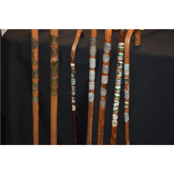 COLLECTION OF CANES (7 PCS)