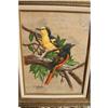 Image 1 : Signed Painting of 2 Birds
