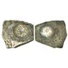 Image 1 : Ancient India: Archaic silver punch-marked coin, 'Narhan Hoard' type, 'Shakya/Malla Janapada', 5.82g
