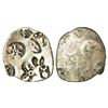 Image 1 : Ancient India: Imperial Magadhan silver punch-marked Karshapana coin (c.400-350 BC), 3.19g.