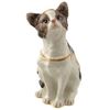 Image 1 : AMERICAN SHORTHAIR JEWELED BOX