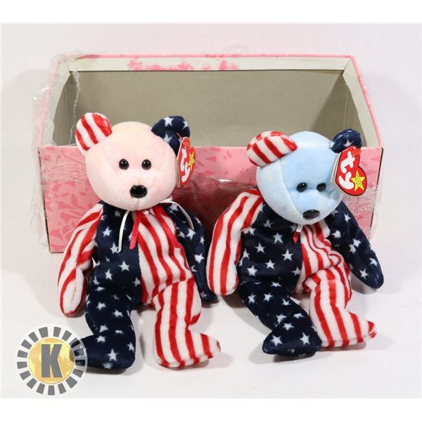 2 TY BUDDIES USA