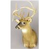 Image 1 : TEXAS DROPTINE WHITE-TAIL DEER SHOULDER MOUNT