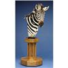 Image 1 : ZEBRA SHOULDER PEDESTAL MOUNT