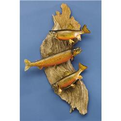 THREE BROOK TROUT MOUNTS