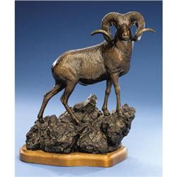 MARCO POLO SHEEP BRONZE