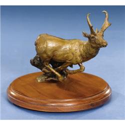 PRONGHORN ANTELOPE BRONZE