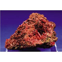 INTENSE RED-ORANGE CROCOITE
