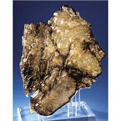 Smoky "Elestial" Quartz