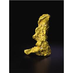 BOOT OF CORTEZ GOLD NUGGET