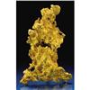 Image 1 : NATIVE GOLD NUGGET