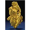 Image 1 : NATIVE GOLD NUGGET