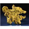 Image 1 : NATIVE GOLD NUGGET