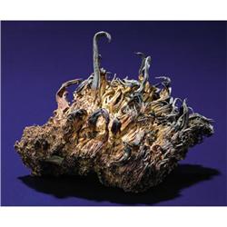 NATIVE SILVER 'WIRES'