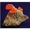 Image 1 : Red Cloud Wulfenite