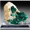 Image 1 : Dioptase on Matrix