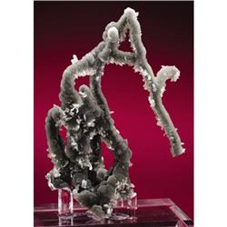 Chalcedony Helictite Group - The Big 'A' Cluster