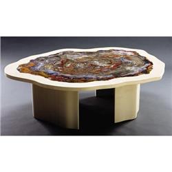 STUNNING PETRIFIED WOOD COFFEE TABLE