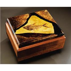 UNIQUE FOSSIL FISH BOX