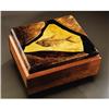 Image 1 : UNIQUE FOSSIL FISH BOX