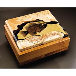 UNIQUE FOSSIL FISH BOX