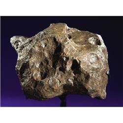 CAMPO DEL CIELO - SUPERB IRON METEORITE