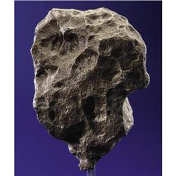 CAMPO DEL CIELO - A SUPERB EXAMPLE