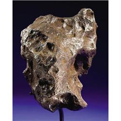 CAMPO DEL CIELO - SINGULAR NATURAL SCULPTURE