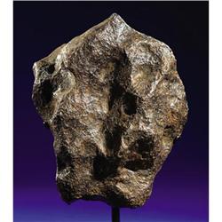CAMPO DEL CIELO - CLASSIC IRON METEORITE