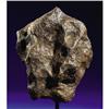 Image 1 : CAMPO DEL CIELO - CLASSIC IRON METEORITE