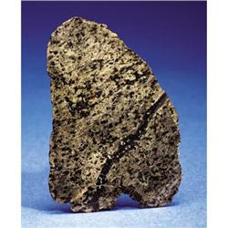 A HUGE COMPLETE SLICE OF A METEORITE FROM MARS